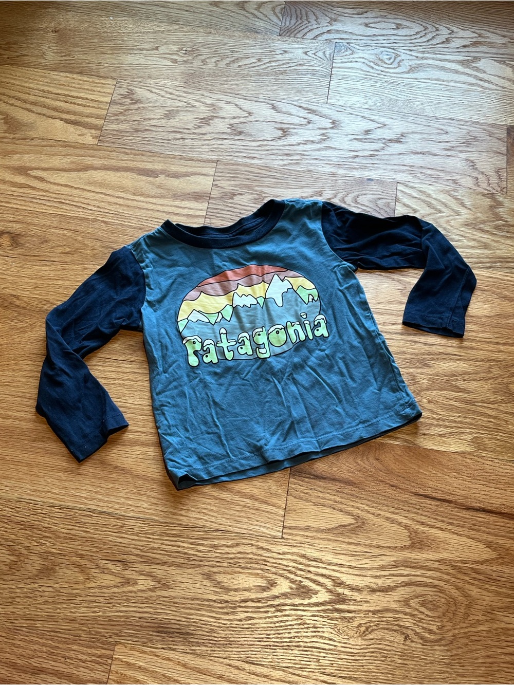 PATAGONIA - Dark Blue Toddler Long Sleeved Mountain Graphic Logo Tee 2T